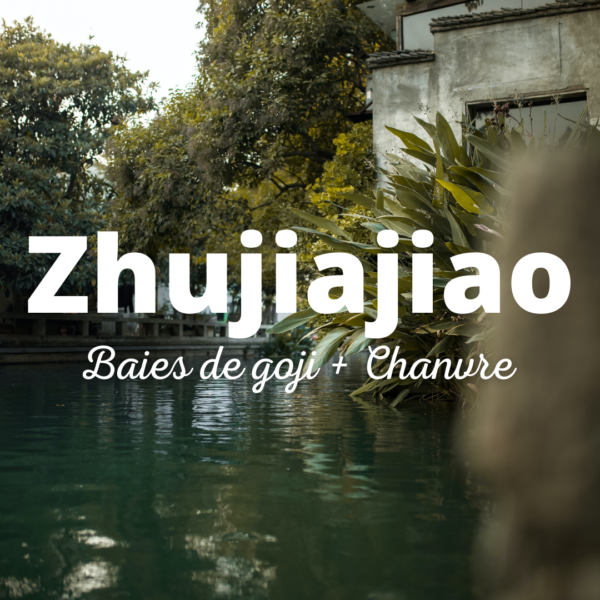 zhujiajiao