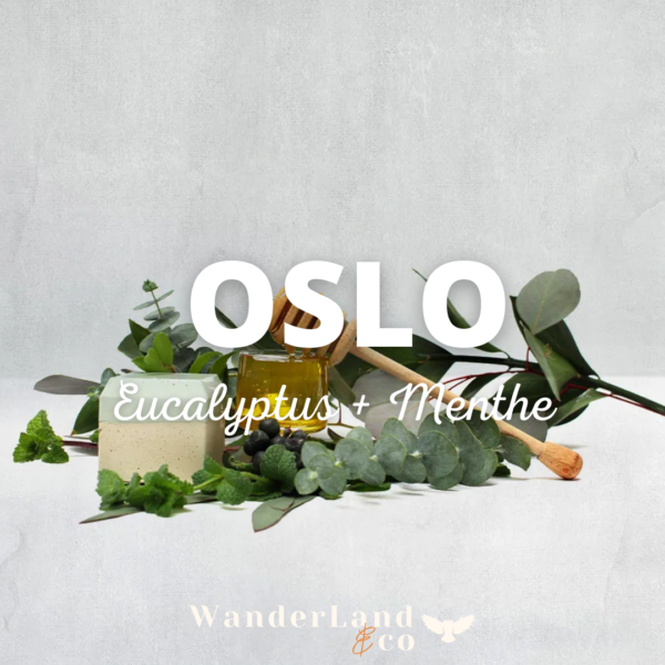 Collection Oslo