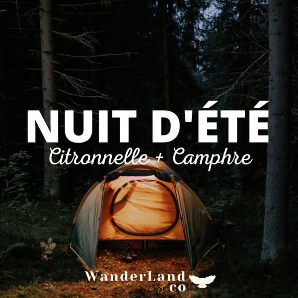 Nuit d’été-citronnelle