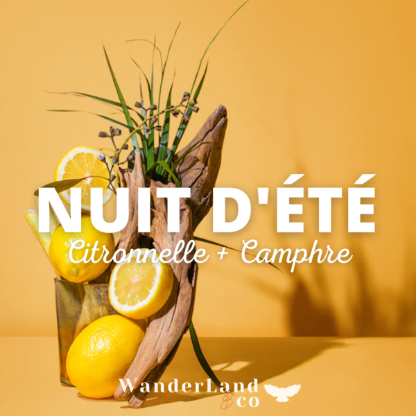 Nuit d’été-citronnelle